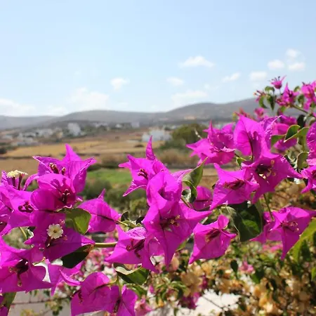 Swiss 3* Naousa (Paros)